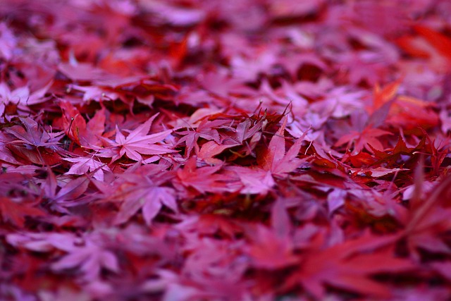Herbstcheck